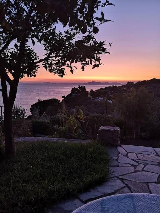 Seaside House With View Over Pagasitikos อาฟิสโซส ภายนอก รูปภาพ